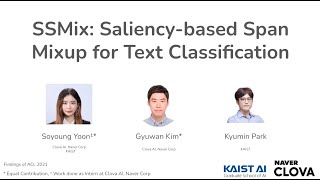 SSMix (unofficial version) Part 2. Training details and result analysis