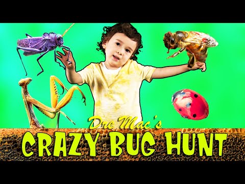 BUG HUNTING FOR KIDS (LEARNING BUGS and their LIFE CYCLES). LADY BUG, HONEY BEE and more!