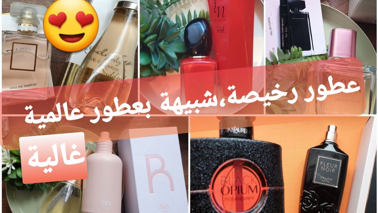 عطور رخيصة ، شبيهة بماركات عالمية🤩/lidl/câline/larive/Zara/spirit/larisè