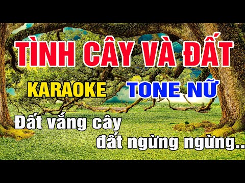 Tình Cây và Đất Karaoke Tone Nữ Nhạc Sống gia huy karaoke