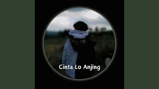 Cinta Lo Anjing