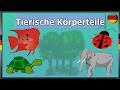 Animal Body Parts in German | Easy and Fun Learning | Vocabulary