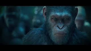 36 Dalda Aday, Tam 12 Film 2018 Boyunca D-Smart Film Klarında