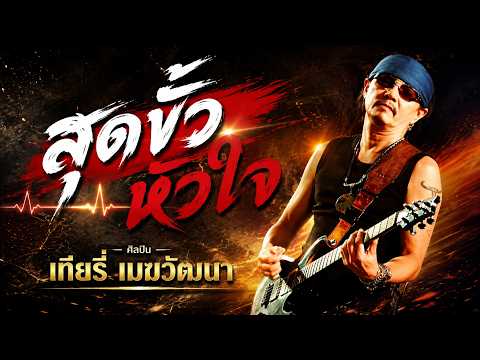 สุดขั้วหัวใจ - เทียรี่ เมฆวัฒนา (Audio video)