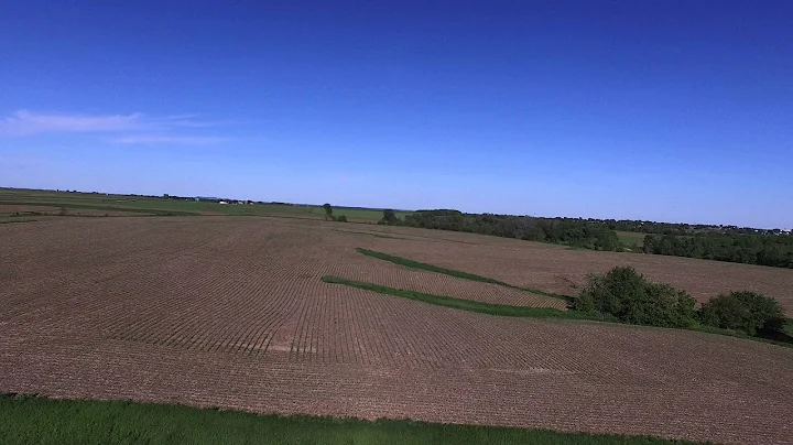 DMZ Aerial at Cornfield with Nicole Trenkamp