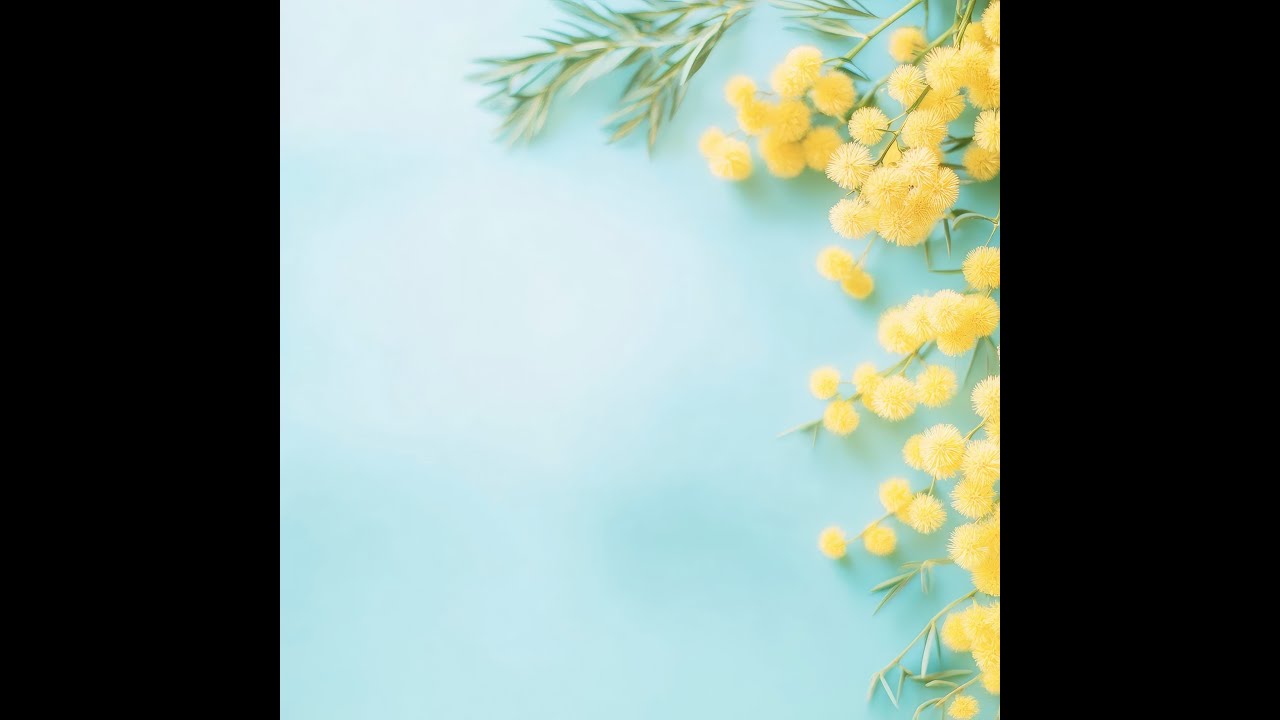 Live By :Babbu photography panjgrain kalan M. 9872173579