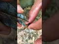 Queen Bee Control 🐝 | Strong Hive Management &amp; Swarm Prevention #shorts