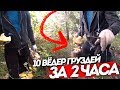 За груздями! 10 ведер за 2 часа. Тюмень, секретное место.