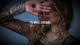 Tu Meri Zindagi | Slowed Reverb | Sachet Parampara