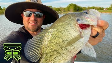 THIS IS where the GIANTS LIVE!! Post Spawn CRAPPIE🐟 🌴 | 🎣 DOCK Shooting for Crappie | #BARFLY
