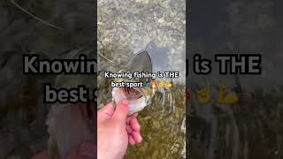 No arguments here #fishing #likeandsubscribe #bassfishing #viral#bass#smallmouthbass #ballknowledge
