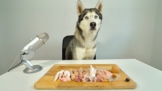 Asmr Husky Reviewing Raw Chicken Meat Parts!