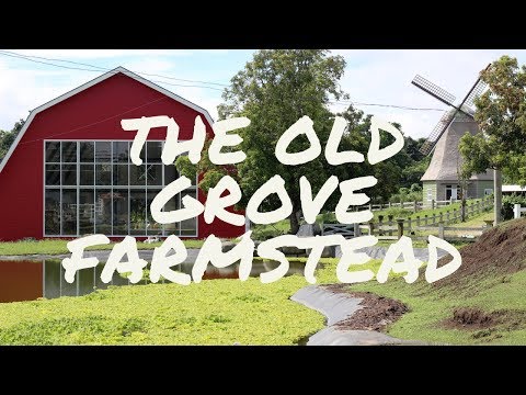 Netherlands in Lipa: The Old Grove Farmstead