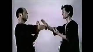 Wing Tsun Archives GM Leung Ting Programs 1ST SECTION OF CHI SAO 6TH 7TH  AND 8TH for students LEVEL