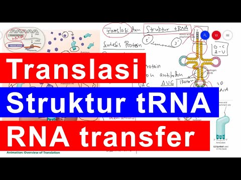 Video: PATTERNA: Pencarian Seluruh Transkriptome Untuk Elemen RNA Fungsional Melalui Tanda Tangan Data Struktural