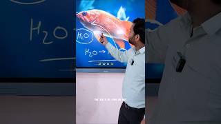 "How Do Fish Breathe Underwater? | Amazing Science Explained!"😱