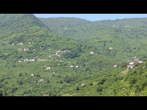 Araklı Turnalı (Os) Köyü Tanıtım Videosu