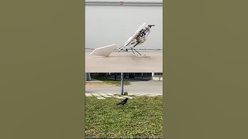 Robotic Bird | AI Robotic Bird | What is a robot bird? | TechGropse | #Robot #Short #TrendingShort