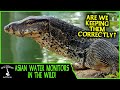 WATER MONITORS IN THE WILD! (Are we keeping them correctly?) - Adventures in THAILAND (2020)