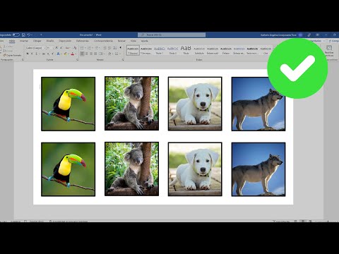 Video: ¿Cómo selecciono varias fotos para copiar?