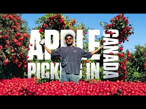 Apple picking in Canada |vlog 101
