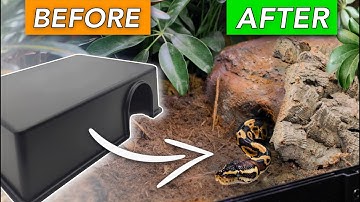 How to Build a Custom NATURALISTIC Reptile Hide
