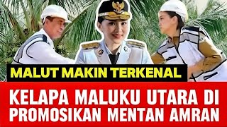 Download Lagu GUB SHERLY PAMER KELAPA MALUKU UTARA DI PROMOSIKAN MENTAN AMRAN, JADI CONTOH DAERAH lain  MP3