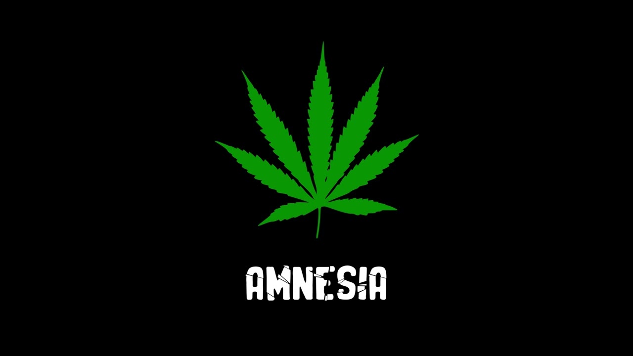 Amnesia