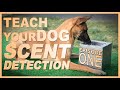 How to Teach Your Dog Scent Detection. Episode 1