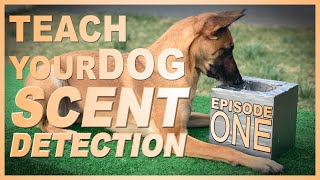 How to Teach Your Dog Scent Detection. Episode 1