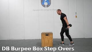 DB Burpee Box Step Overs