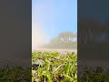 car lover #carlover #viralvideo #viralshorts #bmw drift 👑