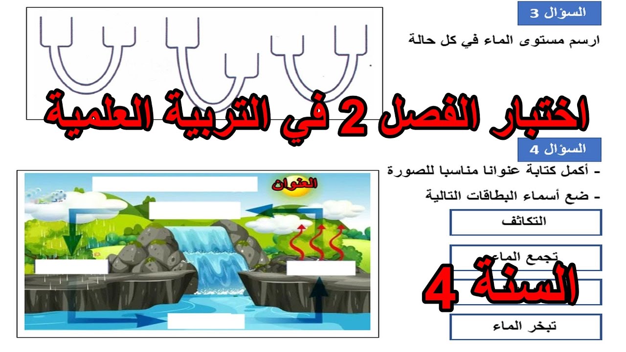 اختبار الفصل 2 في التربية العلمية للسنة 4 ابتدائي