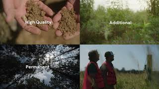 Chestnut Carbon Introduction