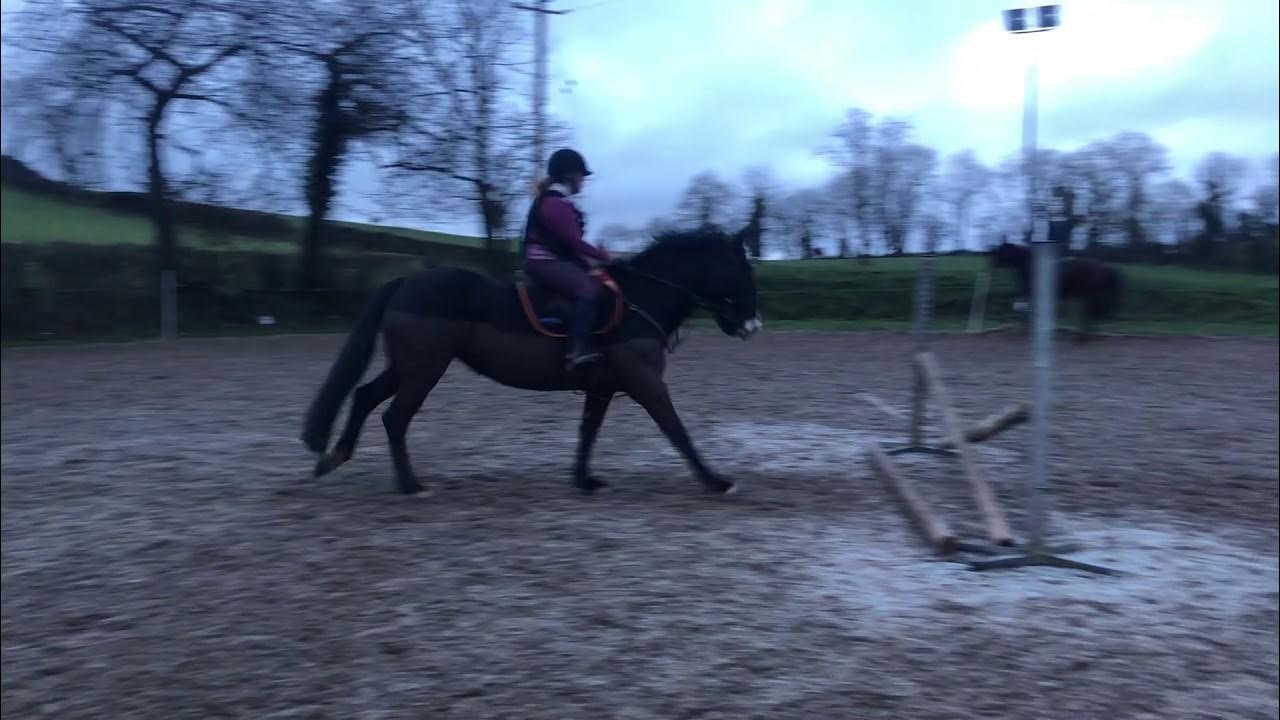 SHOW JUMPING LESSON YouTube