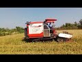 Harvesting of Danger #organicfarming #farming #desiviilagelifetstyle #villagelife 