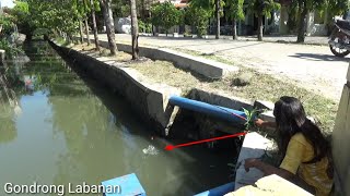 Plung Nyut!! Mancing di tengah kota Kendal strike bertubi tubi