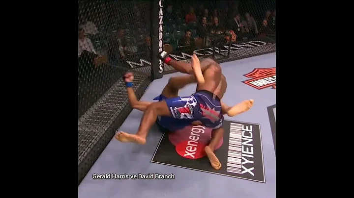 Brutal KO Gerald Harris vs David Branch #UFC #Shor...