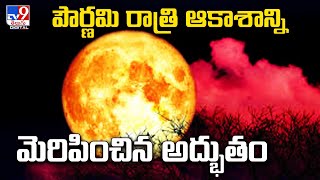 Strawberry moon lights up the night sky @TV9TeluguDigital