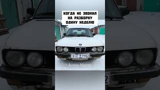 Когда Давно Не Звонил На Разборку Бмв #Антонмаляр #Ремонтавто #Автоюмор #Юмор #Shorts