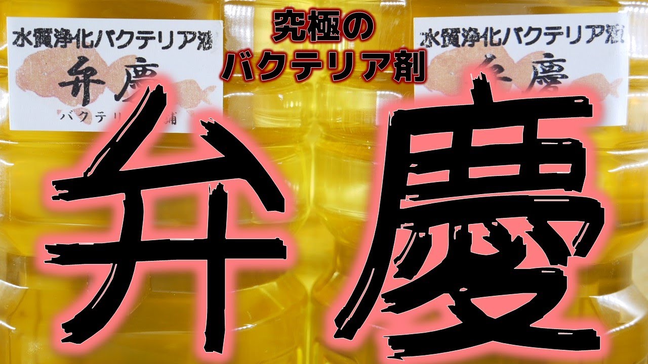 リセット プラチナソイルを使ってミナミヌマエビ水槽をリセットしてみた ふぶきテトラ Youtube リセット プラチナソイルを使ってミナミヌマエビ水槽をリセットしてみた ふぶきテトラ Youtube