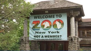 WWNY Meeting underway on future of Watertown’s zoo