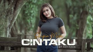 Cintaku - Shepin Misa | Dalam Sepiku Kaulah Candaku | Viral Tik Tok