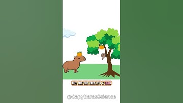 Amensalism Explained with Capybaras