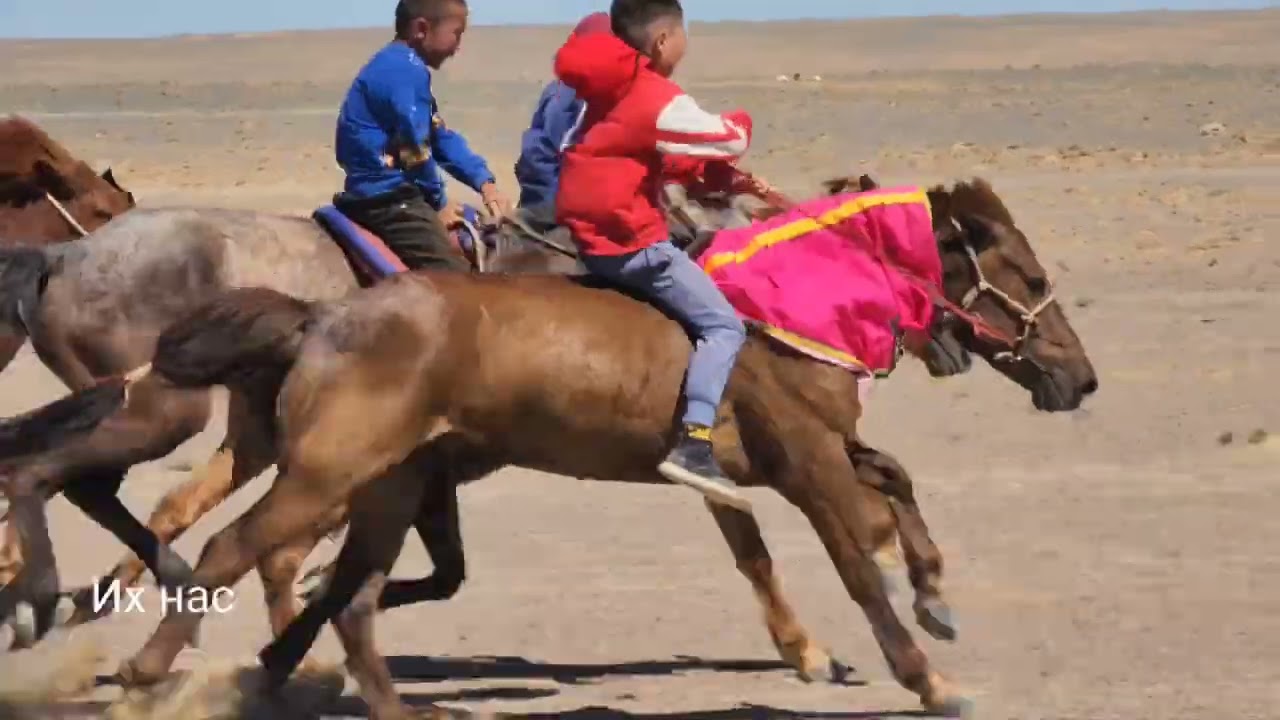 Uvs aimag Zavkhan sum Morinii uraldaa