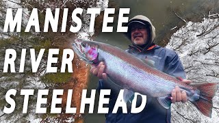 Big Manistee River GIANT Steelhead (Best Fishing Guide in Michigan)