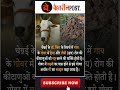 गाय के गोबर के फायदे #shorts #viral #gkfact #trending #ytshorts #amazingfact #saicology