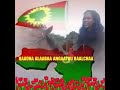 Galle Boora Koo Injifannoo Cimsadhu Galle Boora Koo Injifannoo Cimsadhu