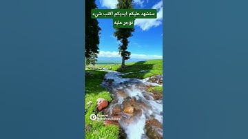 فواتح سوره الكهف بصوت الشيخ فارس عباد ♥️♥️ #اكسبلور
