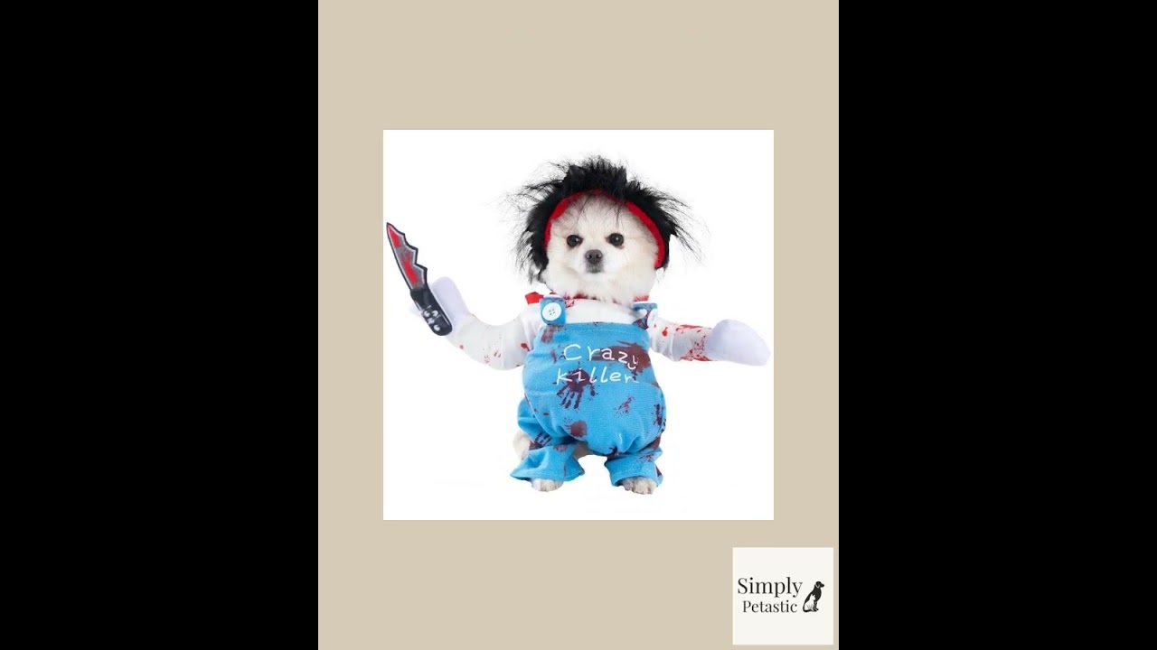 Cute and funny pet Halloween Outfits